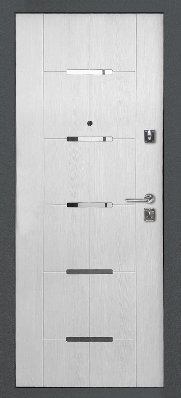 Двери Гуд Входная дверь Salvadoor 1, арт. 0000892 - фото №1